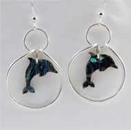 Paua dolphins in silver hoop earrings